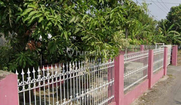 Dijual Rumah Luas 882 M2 Daerah Krembung Sidoarjo 2