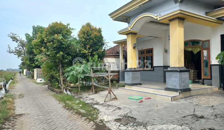 Dijual Lelang 060326 Rumah Desa Tanjekwagir Krembung 2