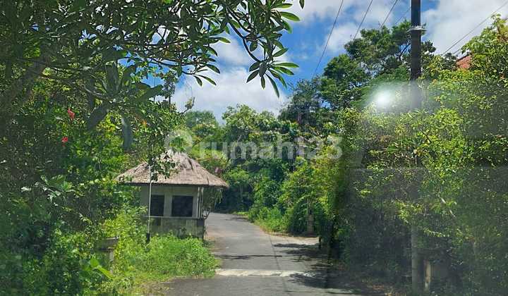 For Sale Villa Complex Total 41 Villas in Benoa Badung Bali