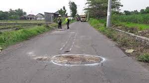 Jual Tanah Pertanian Di Ngoro,mojokerto 4 2