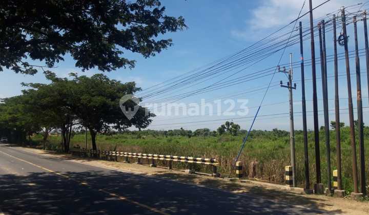 Land for Sale in Tuban, zero roadside Tuban-Semarang, Margosuko Village, Bancar District, Tuban Regency
