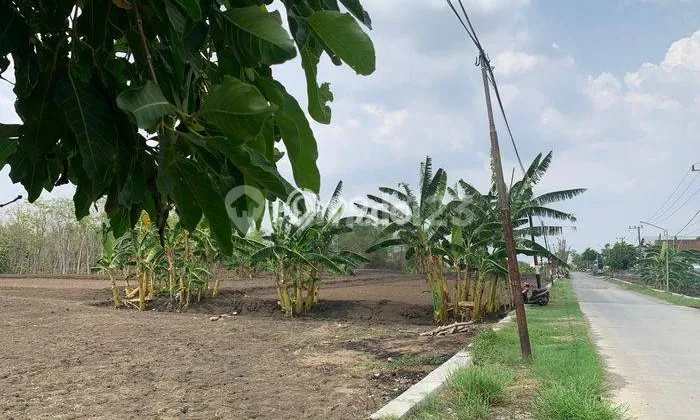 Industrial Zone Land on Deandles Highway Gresik Lamongan, near Paciran port