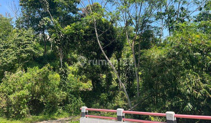 Dijual Tanah Di Cigombong Bogor 2