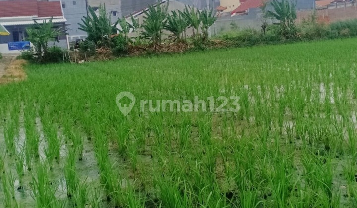 Dijual Tanah Di Semanan