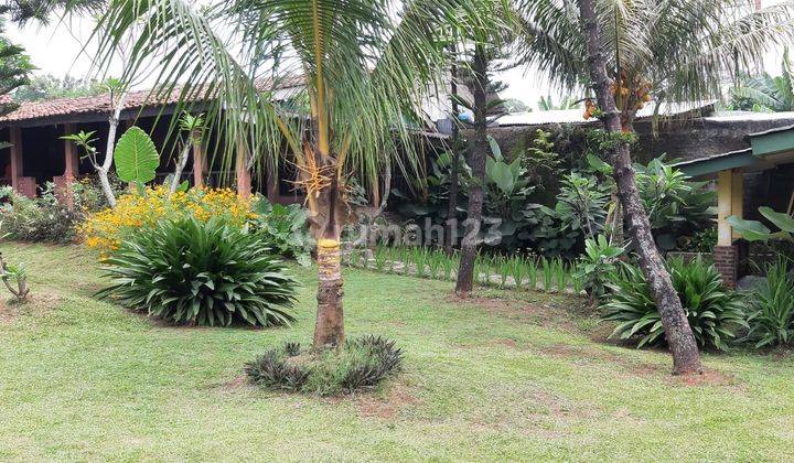 Rumah Makan Saung Sinda Parung 2