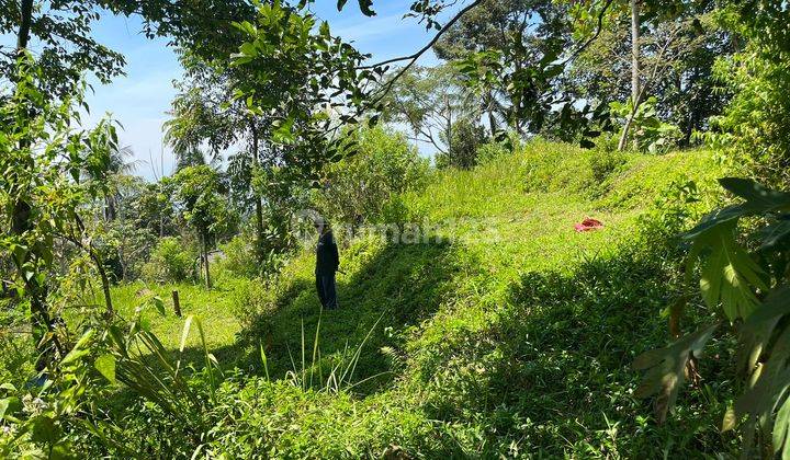 Dijual Tanah Di Cigombong Bogor 1