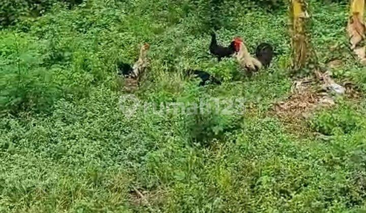 Tanah Kavling Di Rawamangun 225m² Tanah Kavling Di Rawamangun 225m²