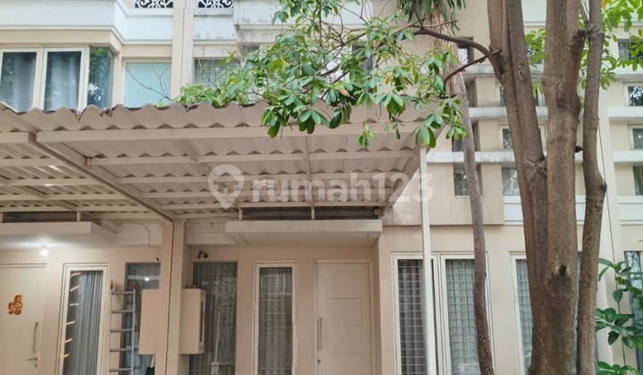 Rumah Minimalis Modern Furnished Pakuwon City Dekat Park Shanghai Siap Huni