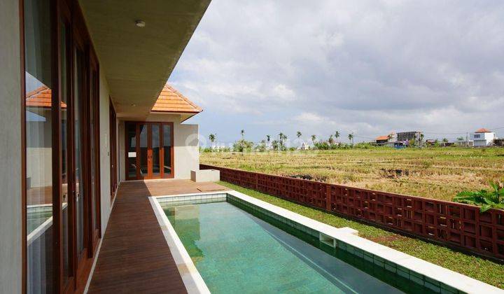 Villa Gress Dengan View Sawah Dekat Ke Pantai 1