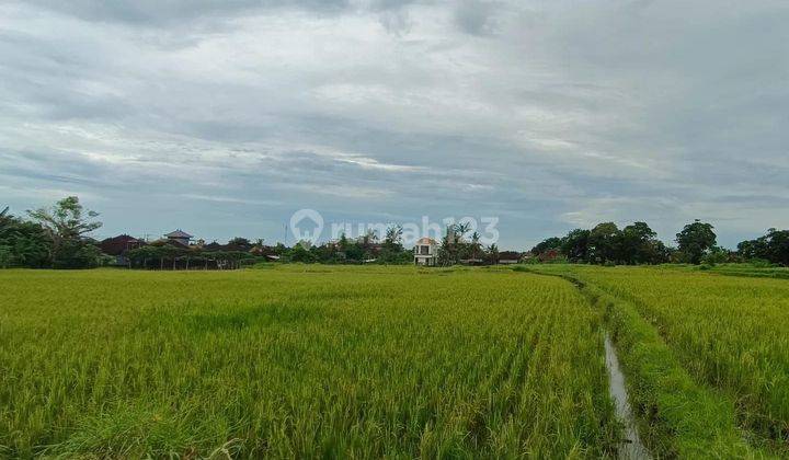 TANAH KAVLING LANGKA PRIME LOCATION VIEW SAWAH 2