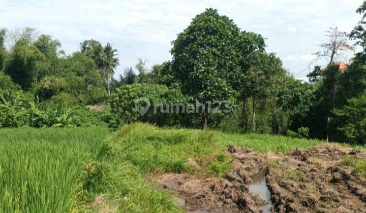 KAVLING LAND VIEW FIELDS AND RIVER CLOSE TO CANGGU AND LAND LOT 1