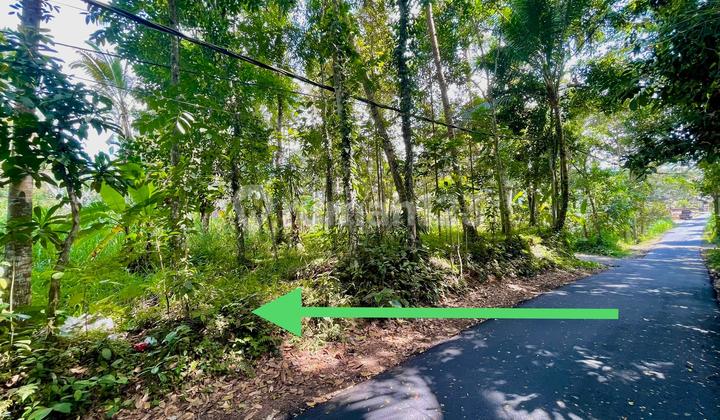 Premium Land Below Market Price In Payangan Ubud Yellow Zone