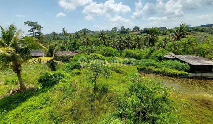 LARGE LAND ON THE SIDE OF SELANGKAH ROAD TO THE CENTER OF KOTA GIANYAR  1