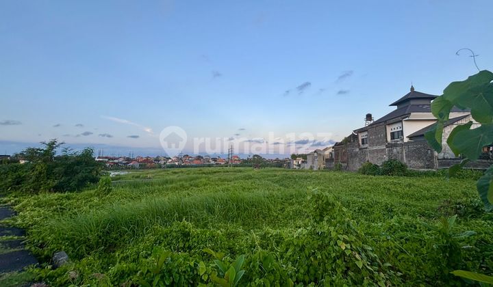 Tanah Kavling Premium View Sawah Cocok Untuk Villa 