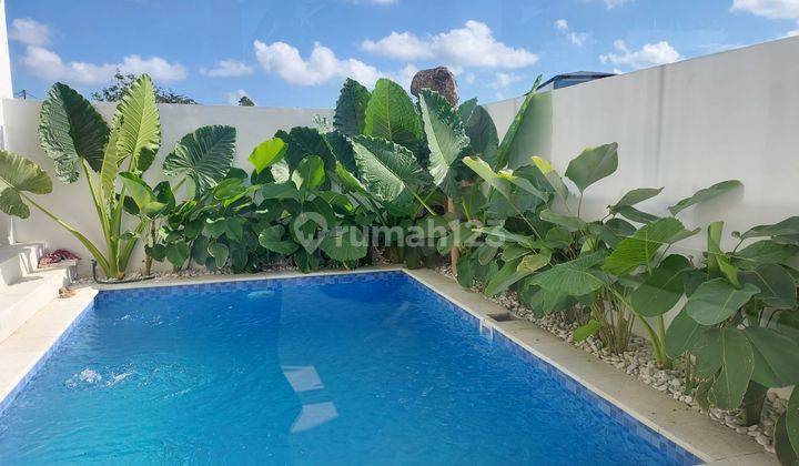 Newly Built Villa In The Heart Of Canggu With Ricefield View 1