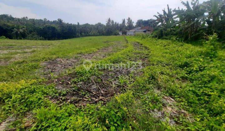 LARGE LAND SUITABLE FOR INVESTMENT CLOSE TO TABANAN CITY CENTER 1