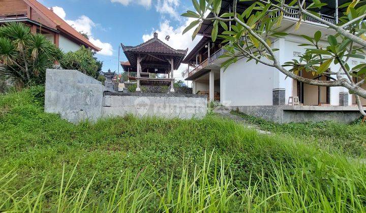 LARGE LAND ON THE SIDE OF SELANGKAH ROAD TO THE CENTER OF KOTA GIANYAR  2