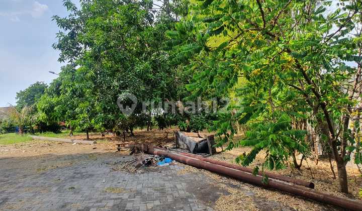 Tanah Dijual : Jl. Roro Jonggrang, Semarang 1