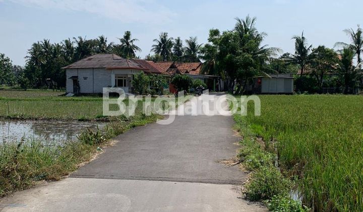 Sangiang Gede, East Sepatan, Tangerang Sangiang Gede, East Sepatan, Tangerang