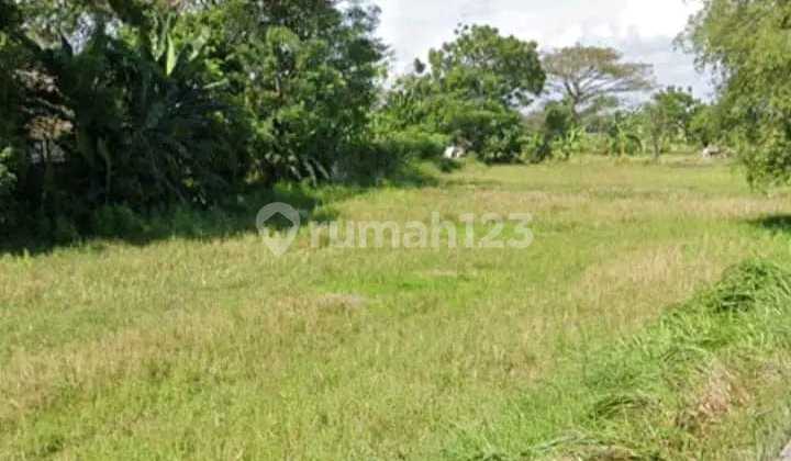 Empty Industrial Zone Land in Cikande, Serang