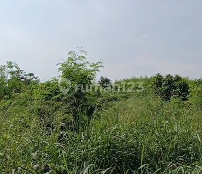 For Rent Commercial Lot Cheap Price Located on Boulevard Alam Sutera Street