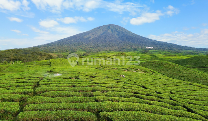 Dijual Tanah Lahan Wisata Strategis di Gunung Gare, Dempo Makmur Pagar Alam Utara, Sumatera Selatan
