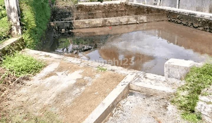 Dijual Kolam Ikan di Cicurug, Majalengka 2