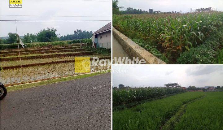 Dijual Tanah di Kawunghilir, Cigasong, Majalengka 1