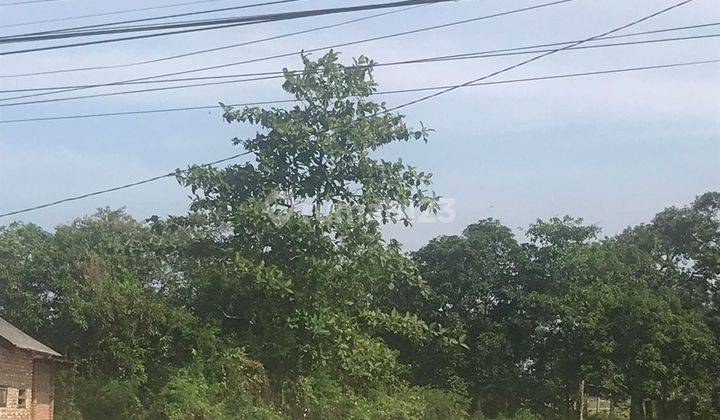 Dijual Tanah Luas Persegi Panjang di Widasari, Indramayu 2