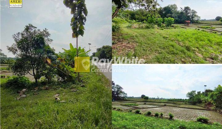 Jual Tanah Sawah Produktif Di Leuweunggede Jatiwangi 1