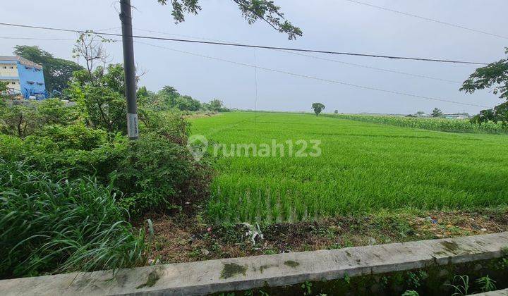 Tanah Di Jalur Pantura Jalan kalipasung 1