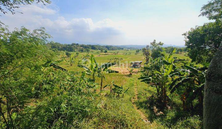 Tanah Kosong di Jalur Utama Area Beber, Cirebon 1