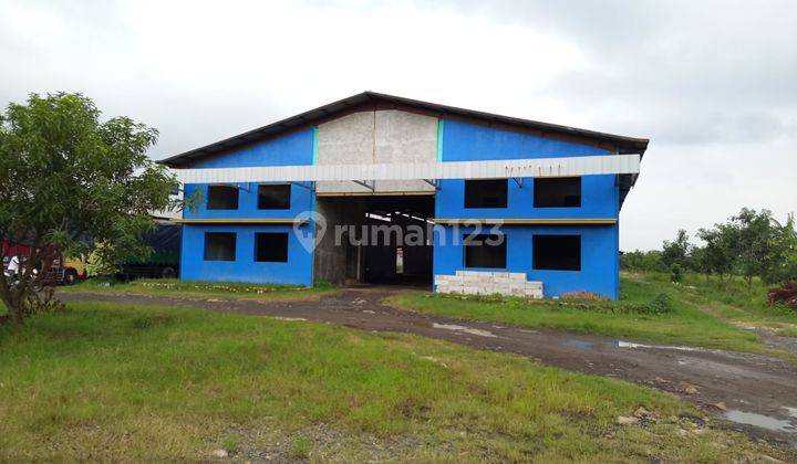 Disewakan Gudang Bagus dan Kantor di Klayan, Cirebon 1