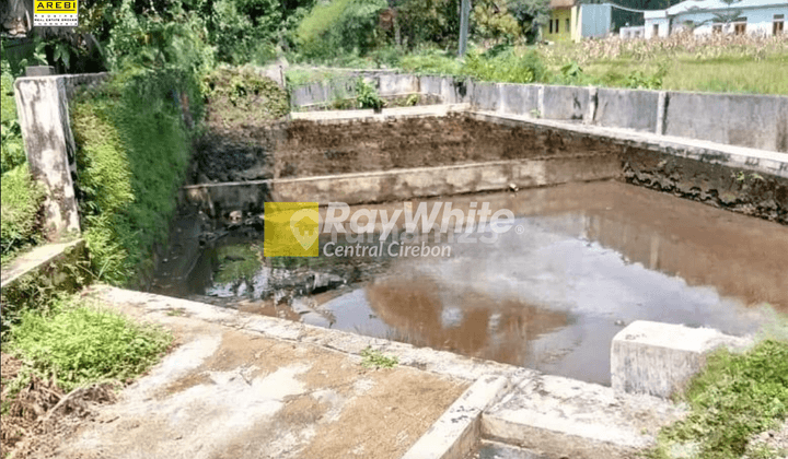 Dijual Kolam Ikan di Cicurug, Majalengka 1