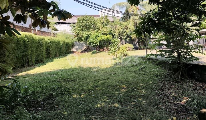 Rumah Tua Hitung Tanah Sasak Jl Panjang Kebon Jeruk Pekarangan Luas Jarang Ada 2