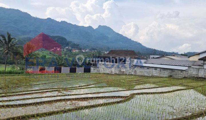 Tanah Shm 6679 M² Dekat Pasar Ngantang, Jalur Utama Batu Jombang 1