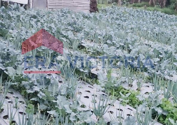 Tanah Cocok Untuk Dibangun Villa Atau Resto Lokasi Daerah Wisata  2