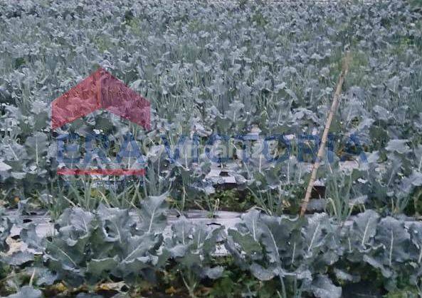 Tanah Cocok Untuk Dibangun Villa Atau Resto Lokasi Daerah Wisata  1