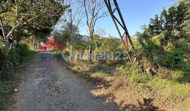 Land For Sale in Kedungkandang Area, Kemayoran Atas Street. Land For Sale in Kedungkandang Area, Kemayoran Atas Street.