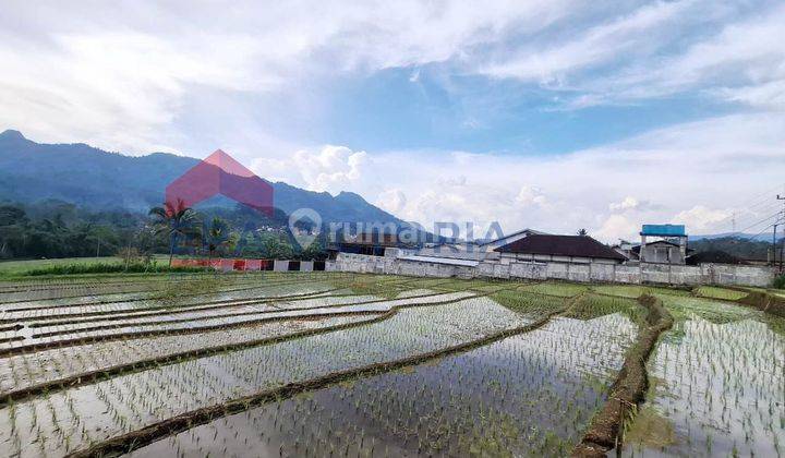 Dijual Tanah Sawah Luas 1