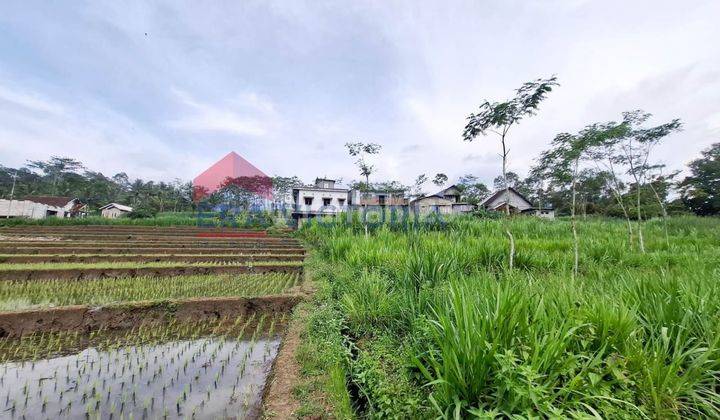 Dijual Tanah Sawah Luas 2