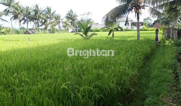 UBUD Land Plot (CENTRAL Ubud) Gianyar, BALI 1