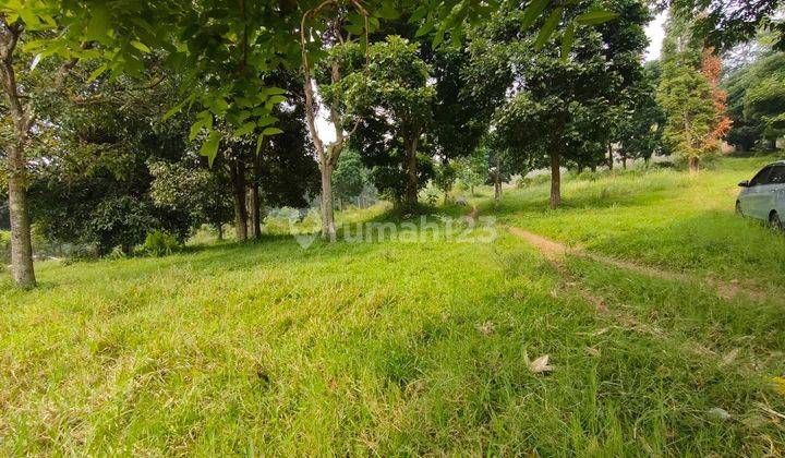 Jual Cepat Tanah Luas di Jl Pancawati Caringin Bogor Jawa Barat 1