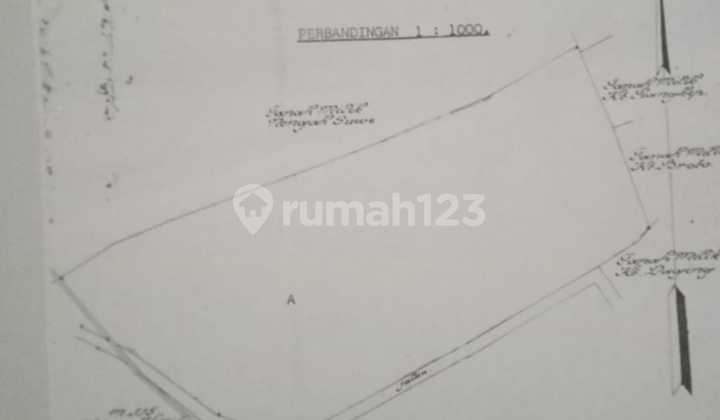 Disewakan tanah luas 10000 m2 view sawah dan gunung, Ababi Karangasem 2