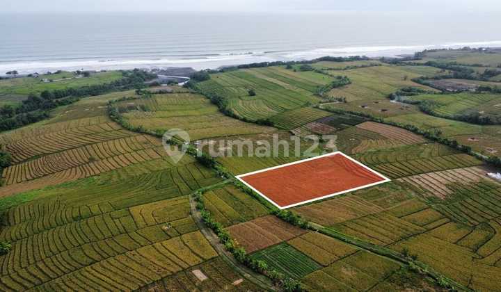 Tanah 2950 m2 SHM Pasut Tabanan, Dekat Soori Bali Tanah 2950 m2 SHM Pasut Tabanan, Dekat Soori Bali