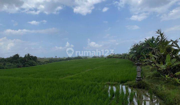 Land for sale in Tibubiu Kerambitan, Tabanan Bali 1