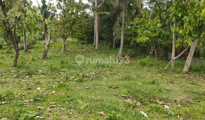 Dijual Tanah Kebun Los Sungai, Tabanan 1