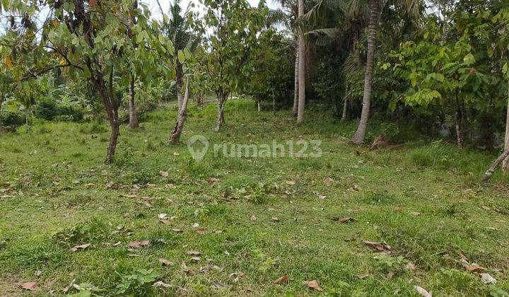 Dijual Tanah Kebun Los Sungai, Tabanan 2