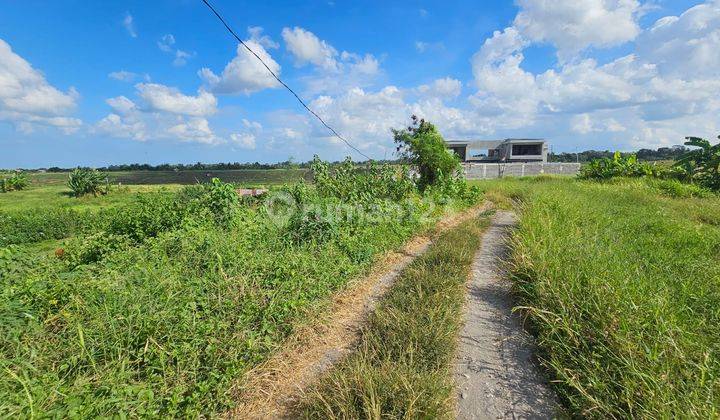 Commercial Land for sale, Location Kaba Kaba, Near Munggu, Seseh canggu Land Lot 1