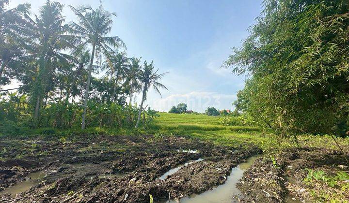 Dijual Tanah Lokasi Beraban, Tabanan  2